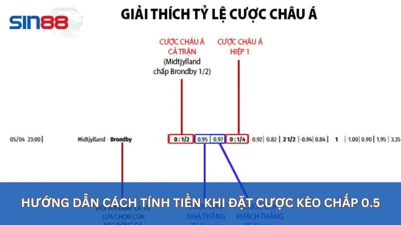 Kèo Chấp 0.5 Là Gì? Hiểu Rõ Kèo Chấp 0.5 Để Chiến Thắng 5 Cách tính tiền khi đặt cược kèo 0.5 là gì